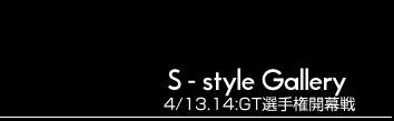 S - style Gallery